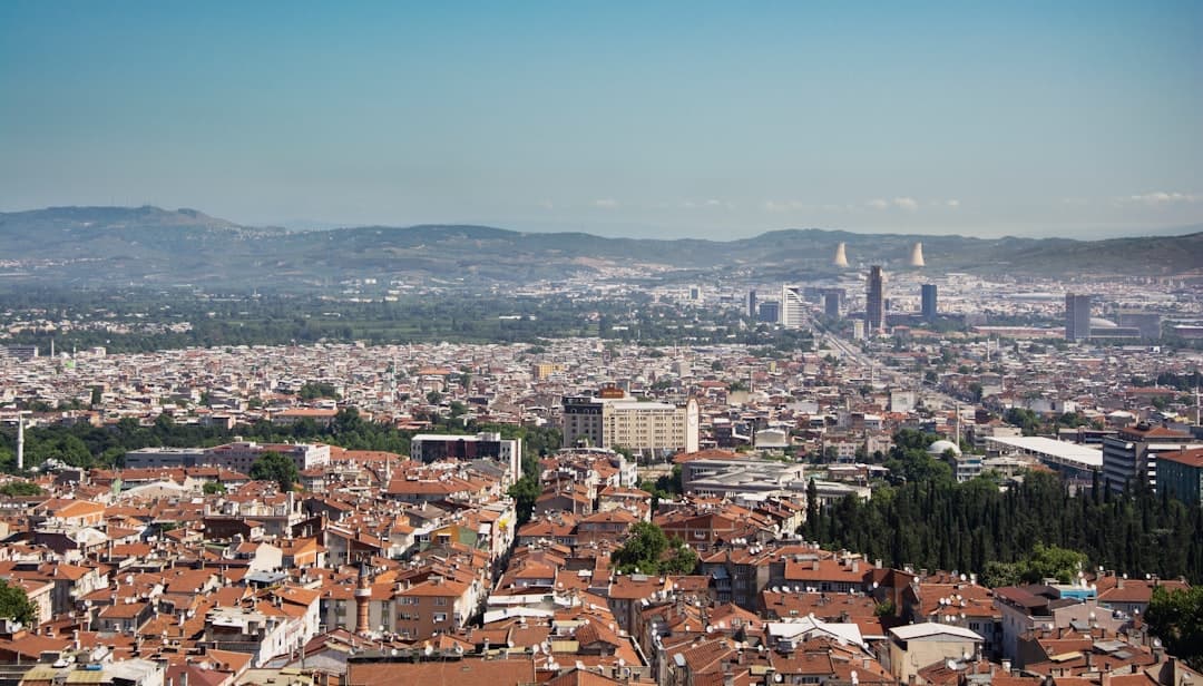Bursa