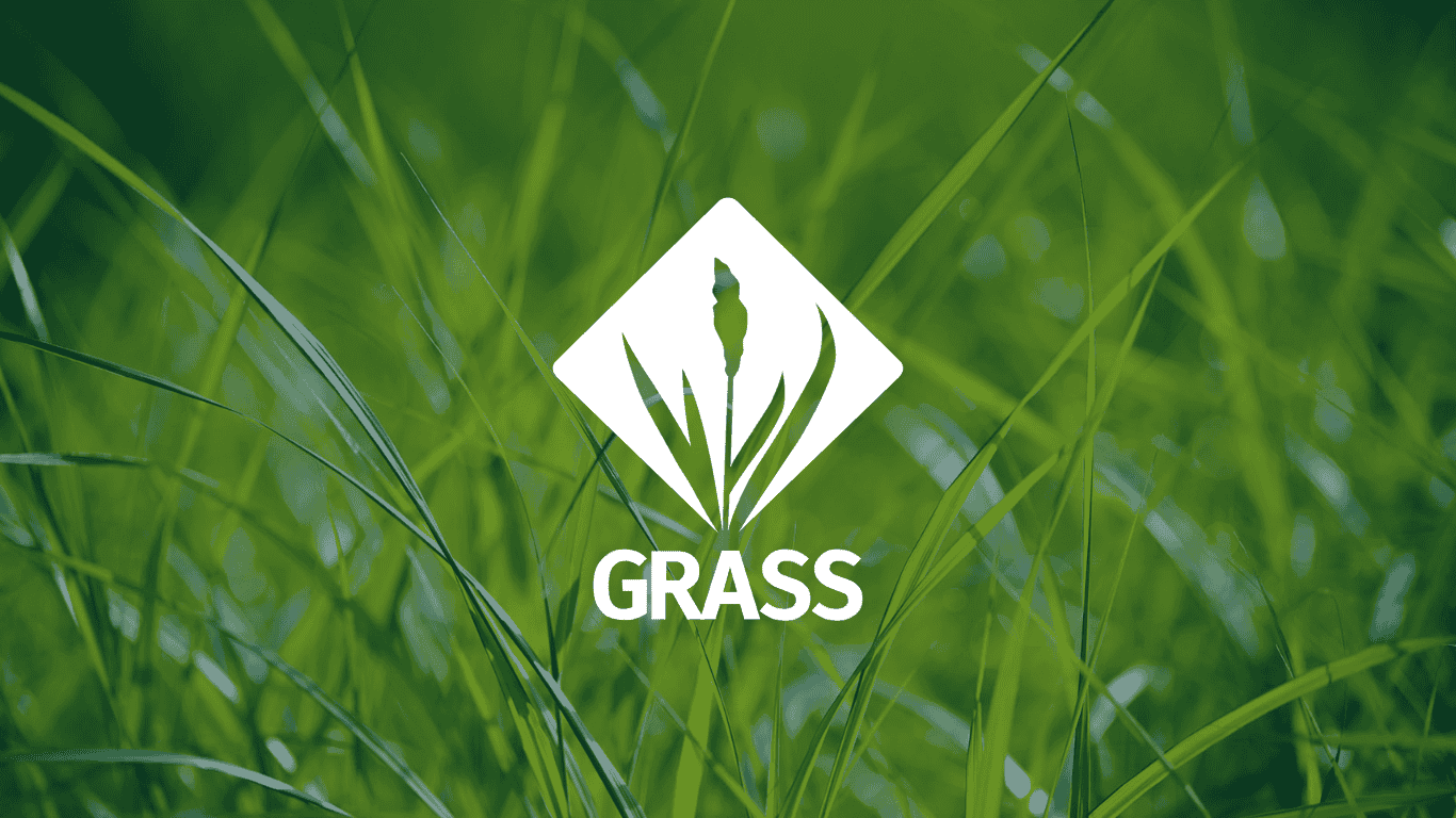 Big Grass