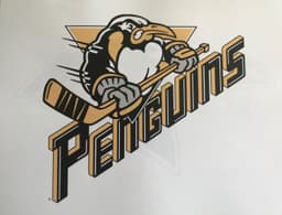 Pittsburgh Penguins + Buccini/Pollin logo