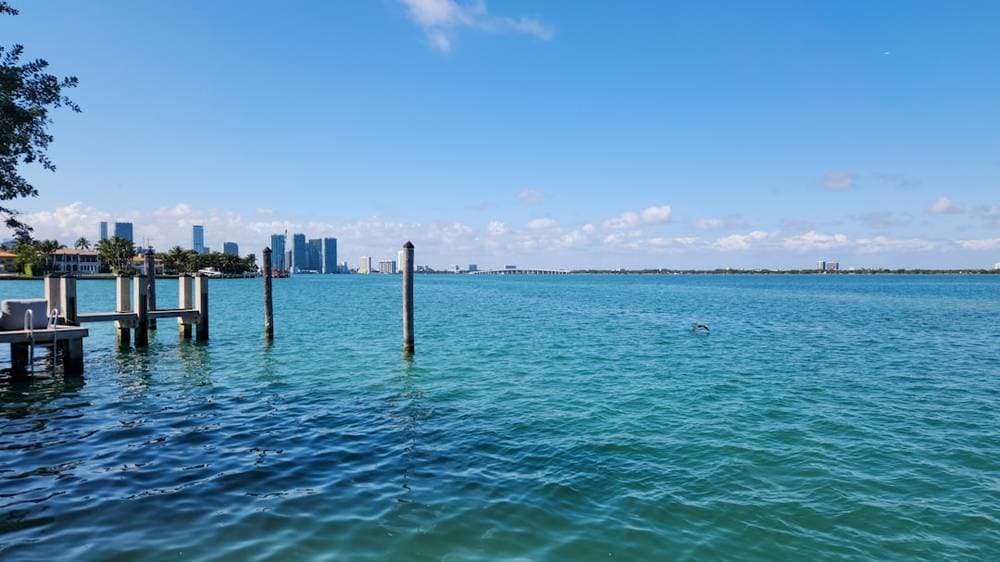 Miami's $1 Million-Plus Home Sales Surge 20% in 2026, Leading Market Growth