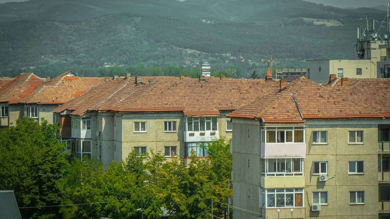 Drpe Mandica