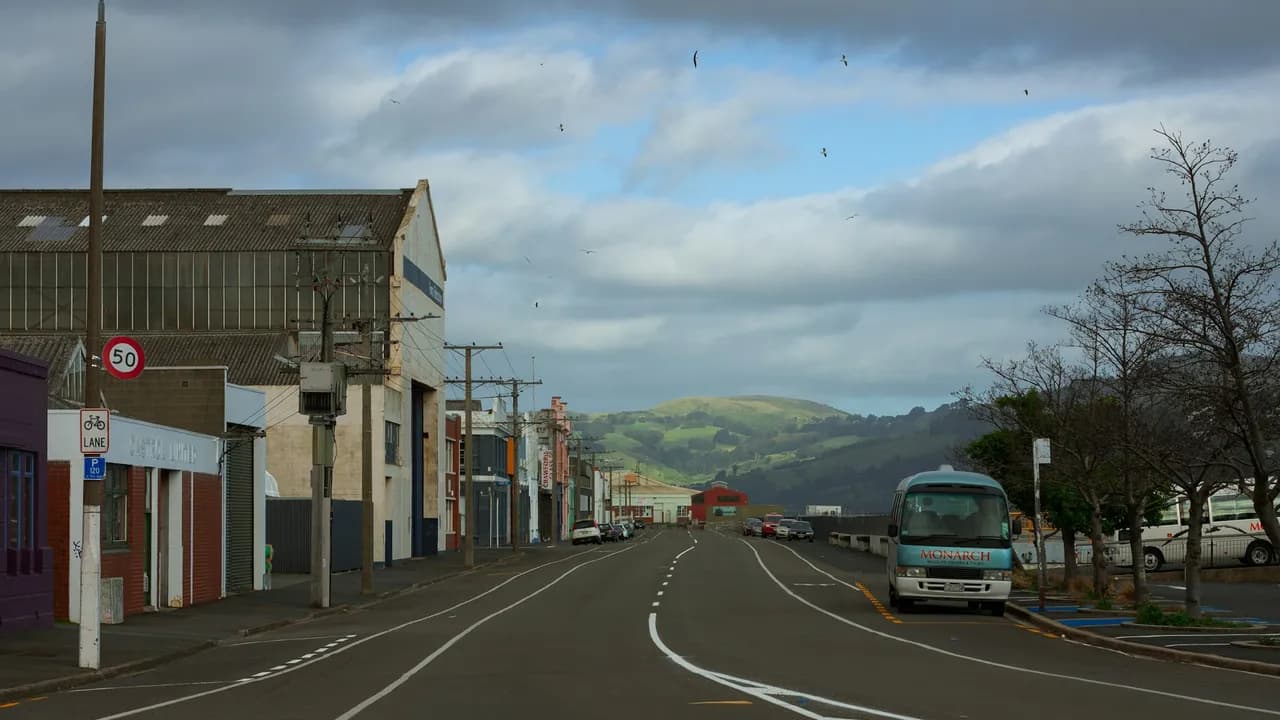 Dunedin City