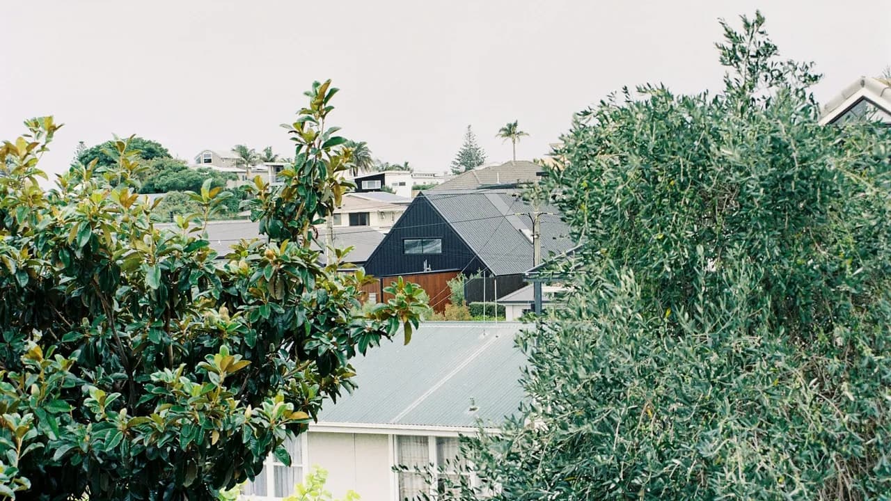 Tauranga