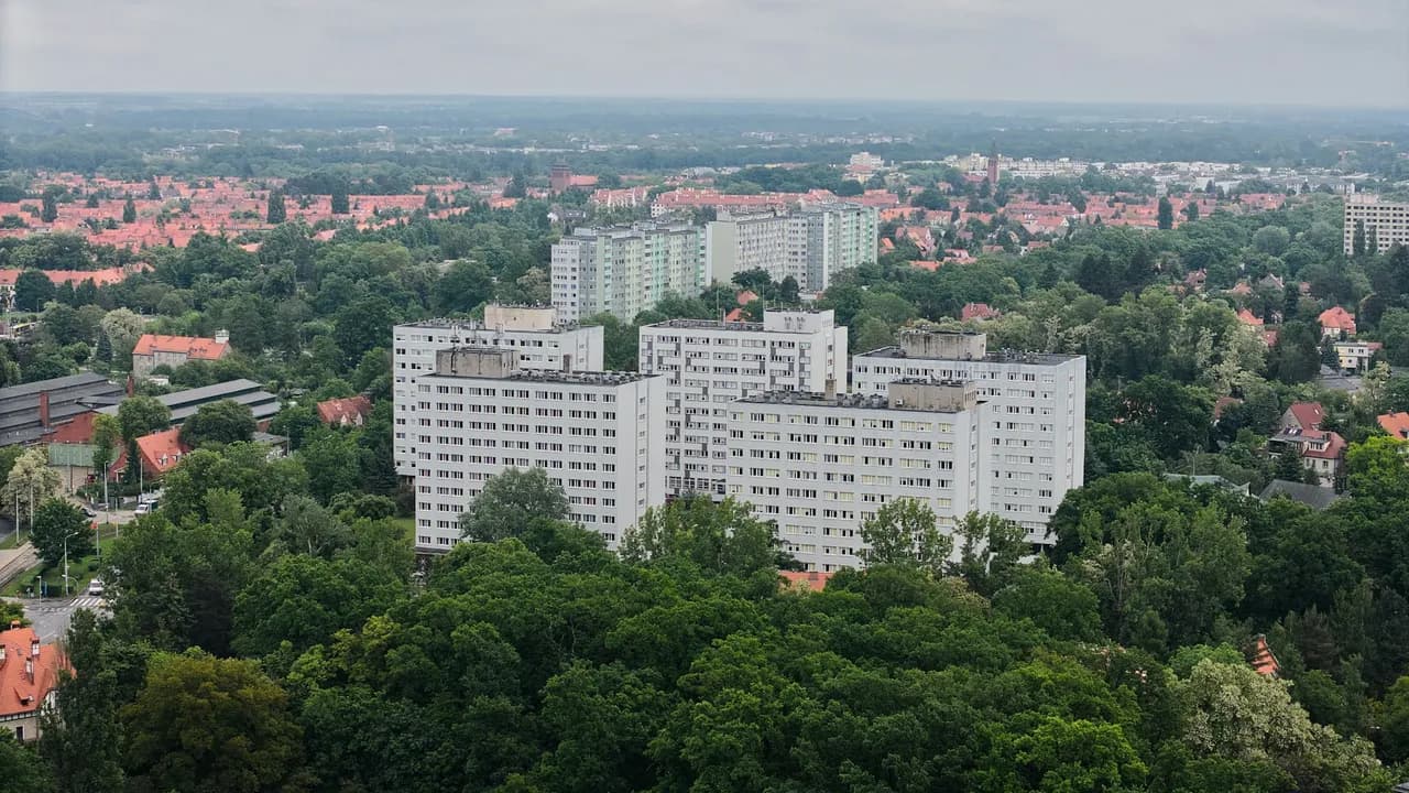 Jaktorow