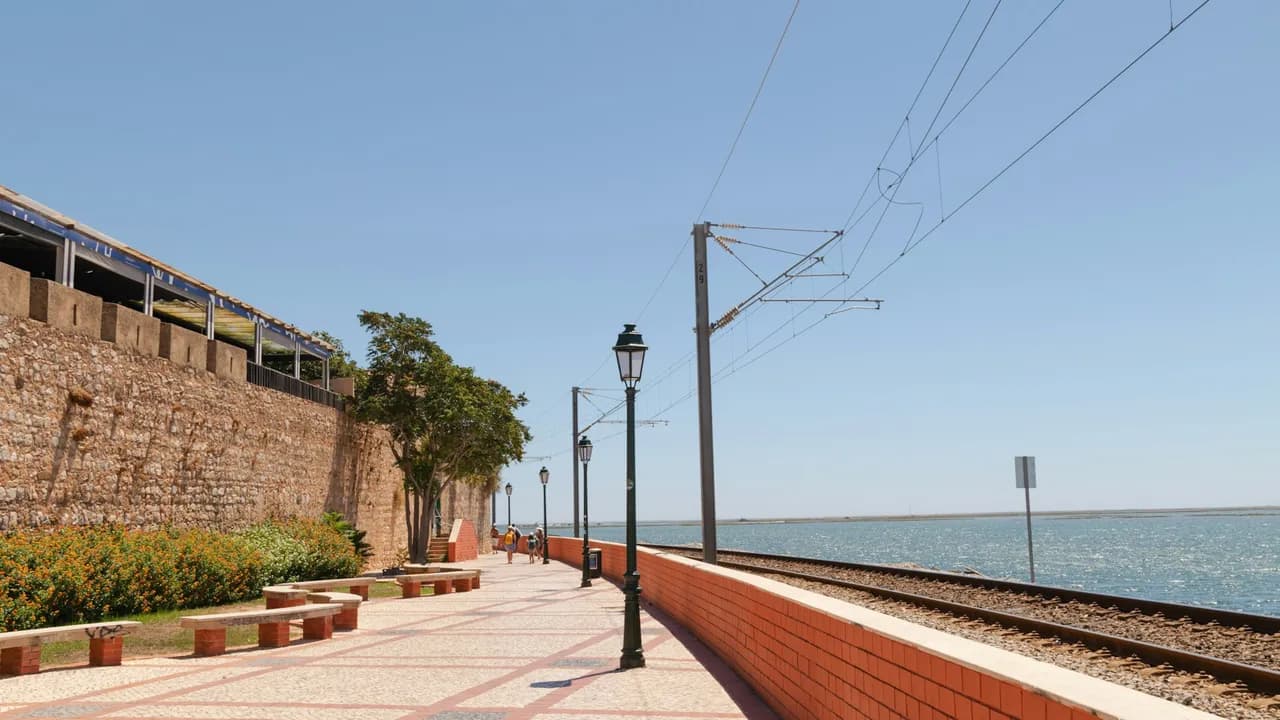 Faro