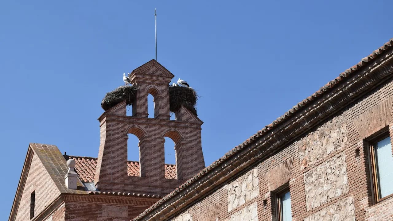 Alcala De Henares