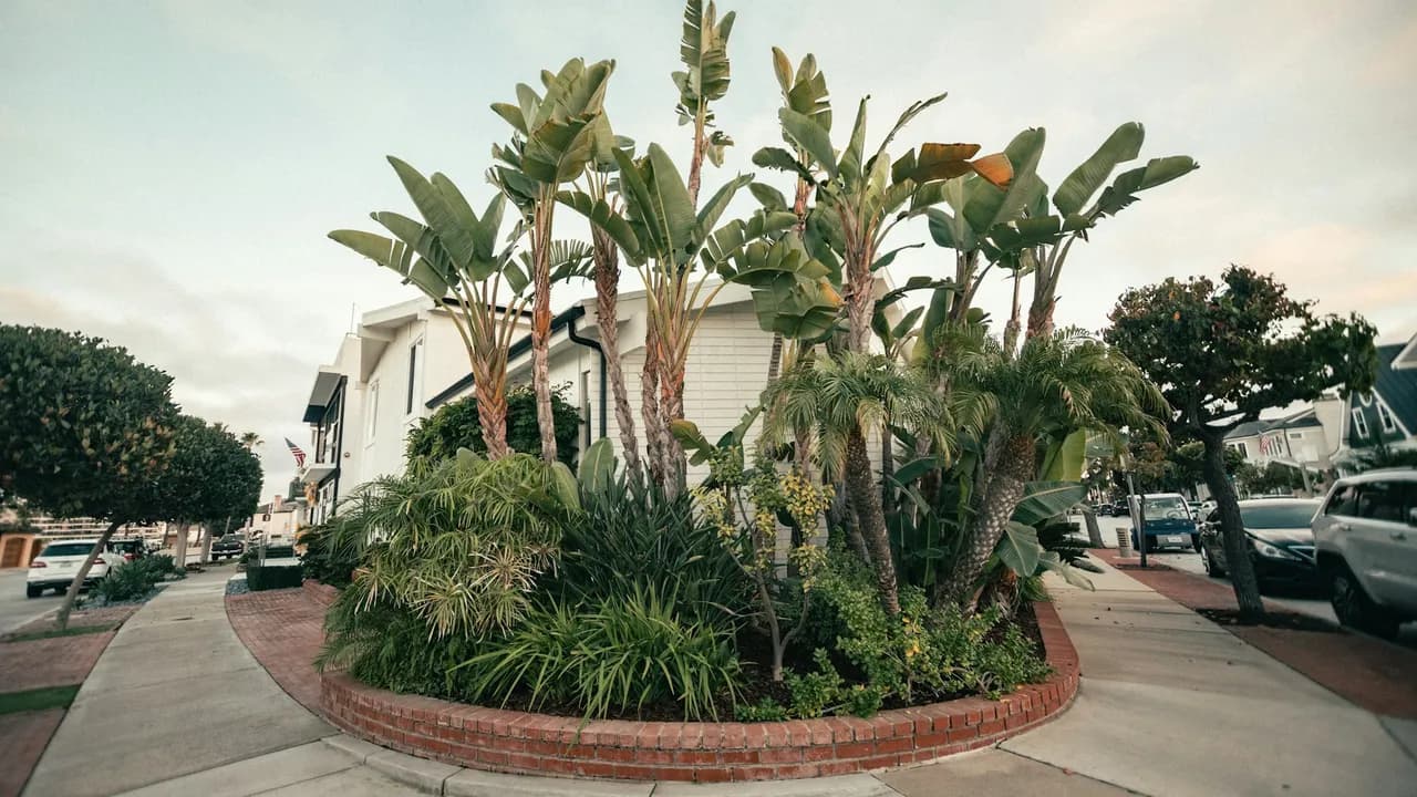 Newport Beach