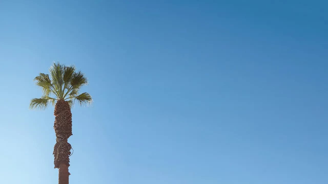 Palm Desert