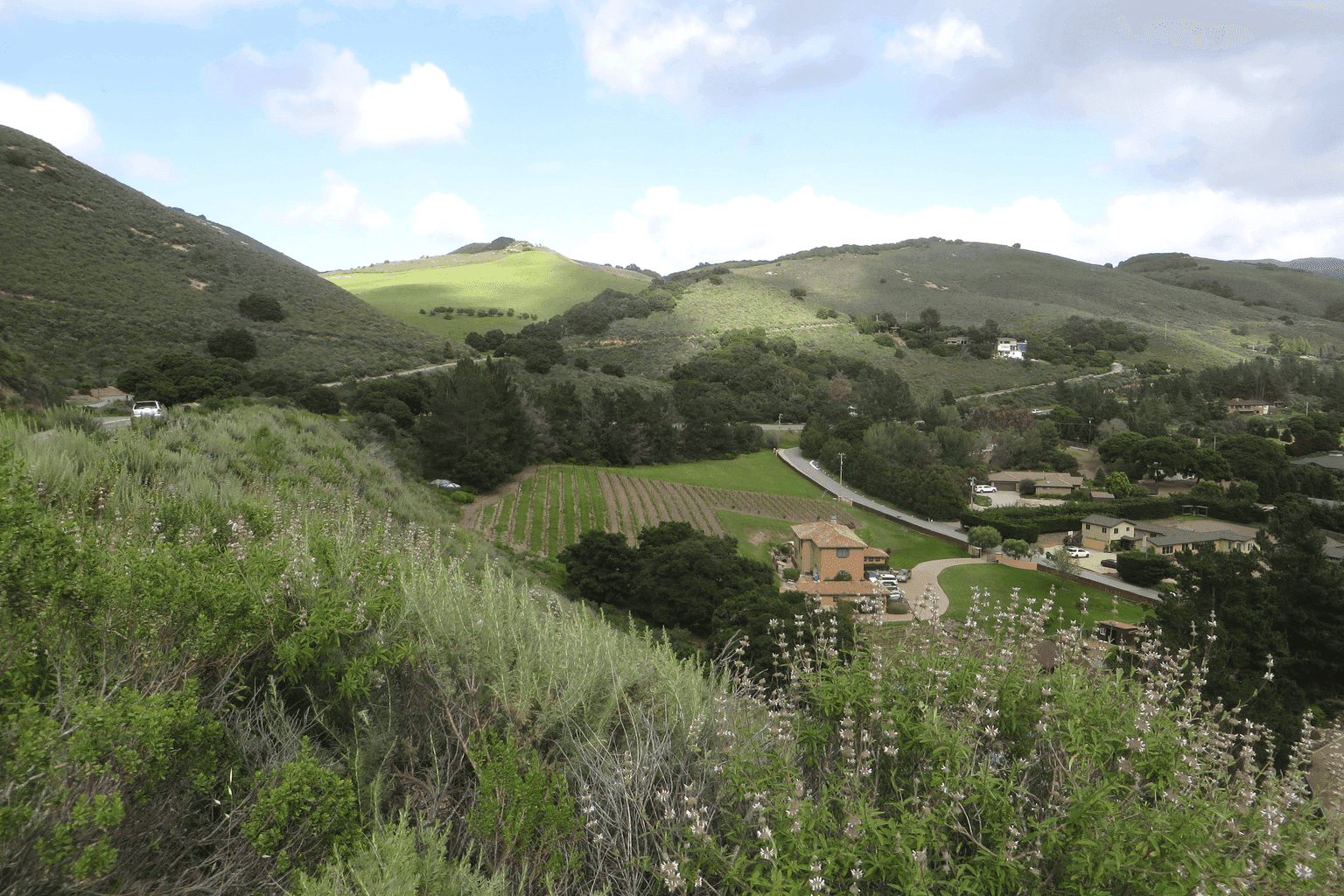 Carmel Valley Village - Image 2
