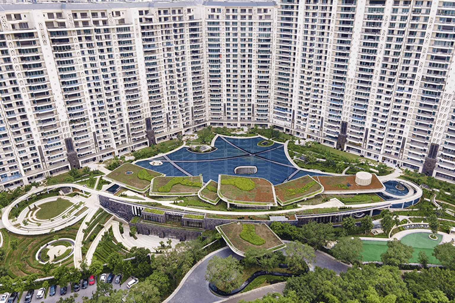 DLF The Camellias