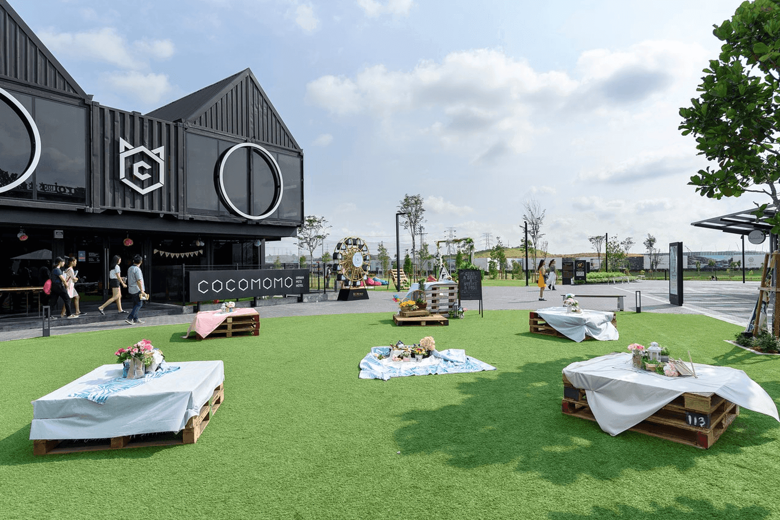 Eco Ardence - Image 2