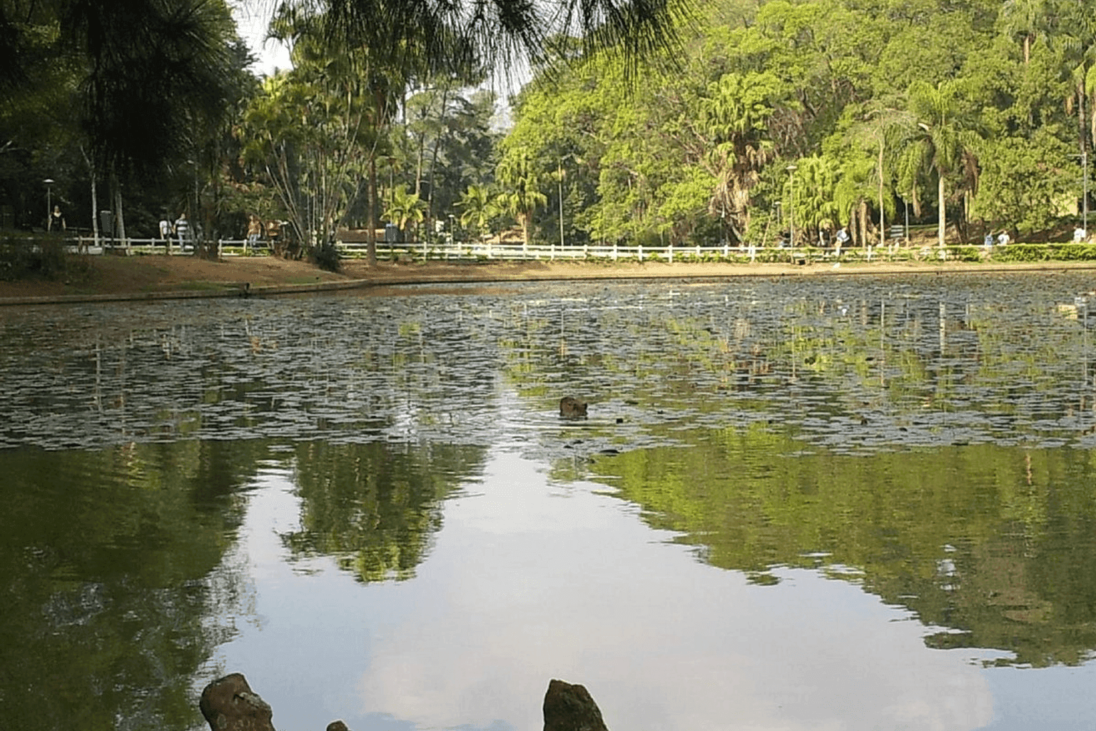 Horto Parque - Image 3