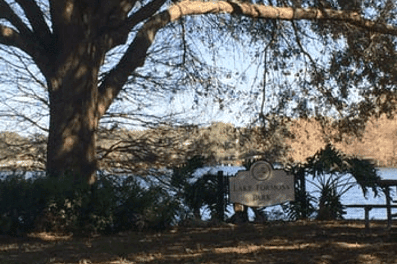 Lakeformosa Infill