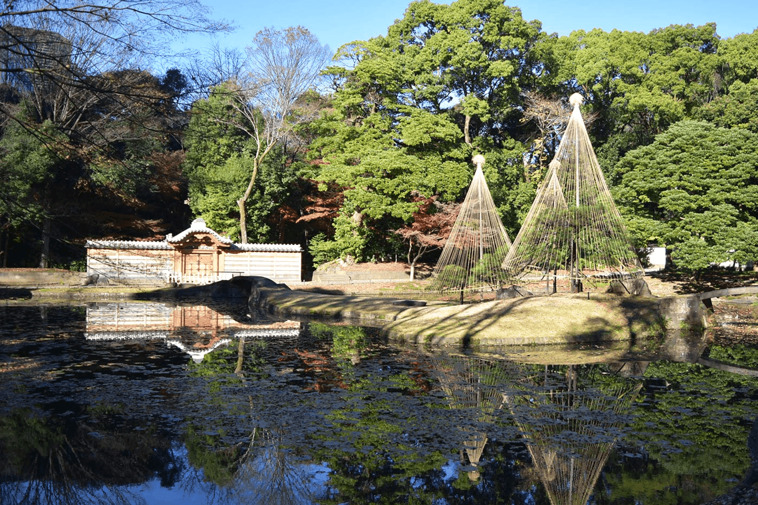 Livio City Bunkyō Koishikawa - Image 3