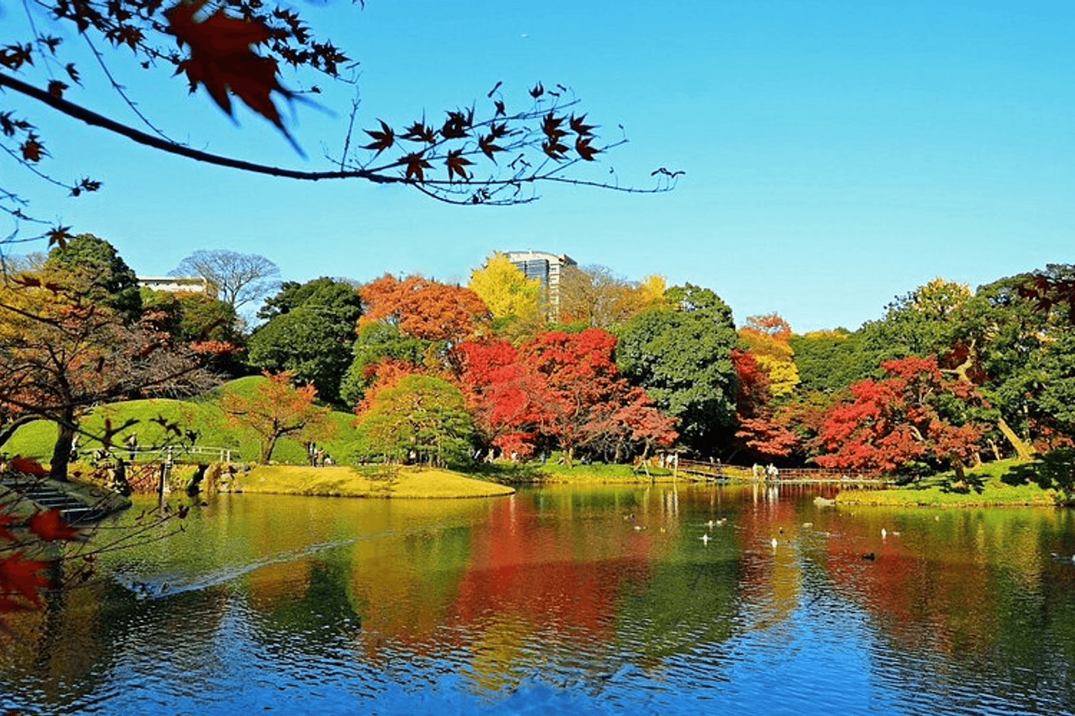 Livio City Bunkyō Koishikawa