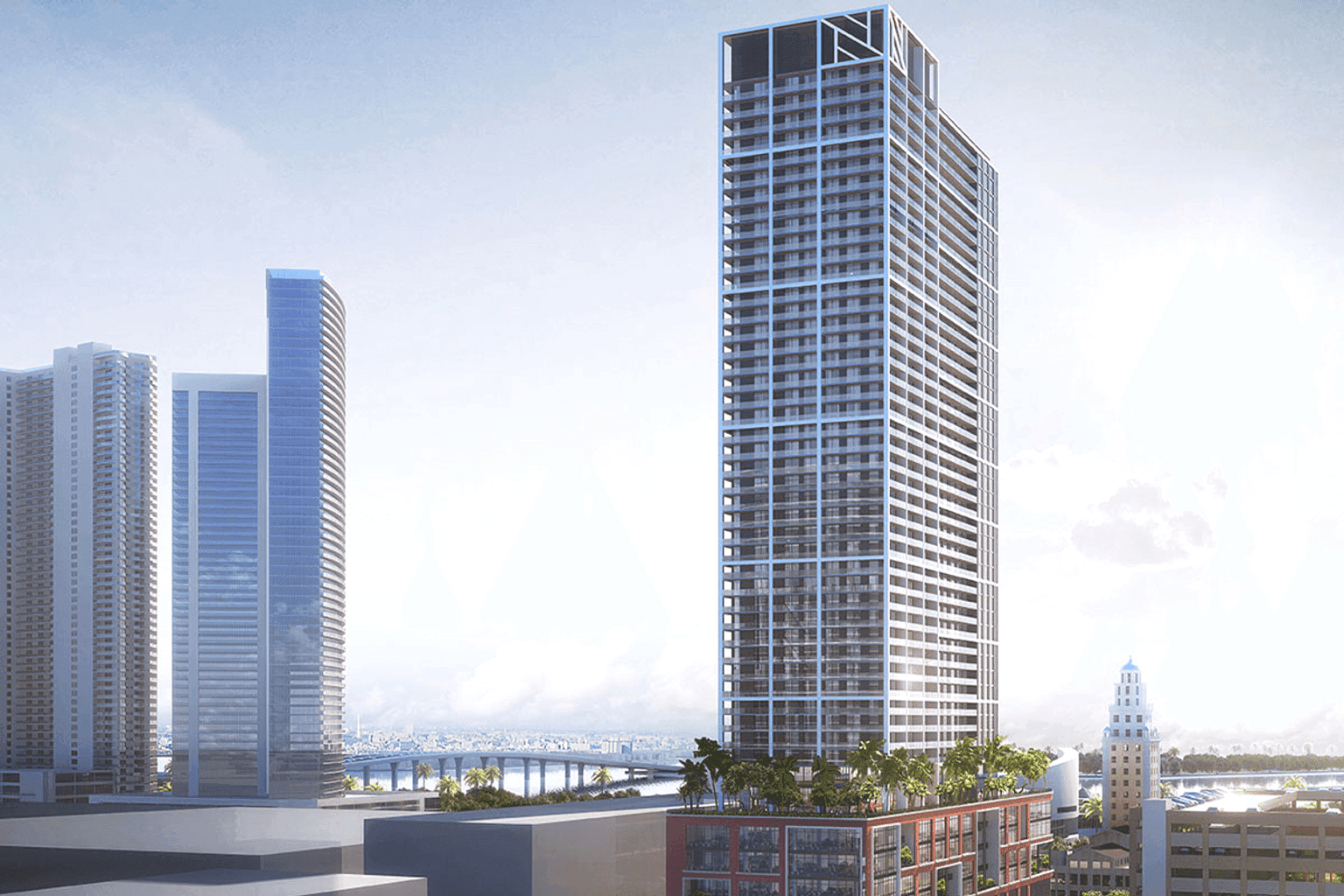 Natiivo Miami - Image 3
