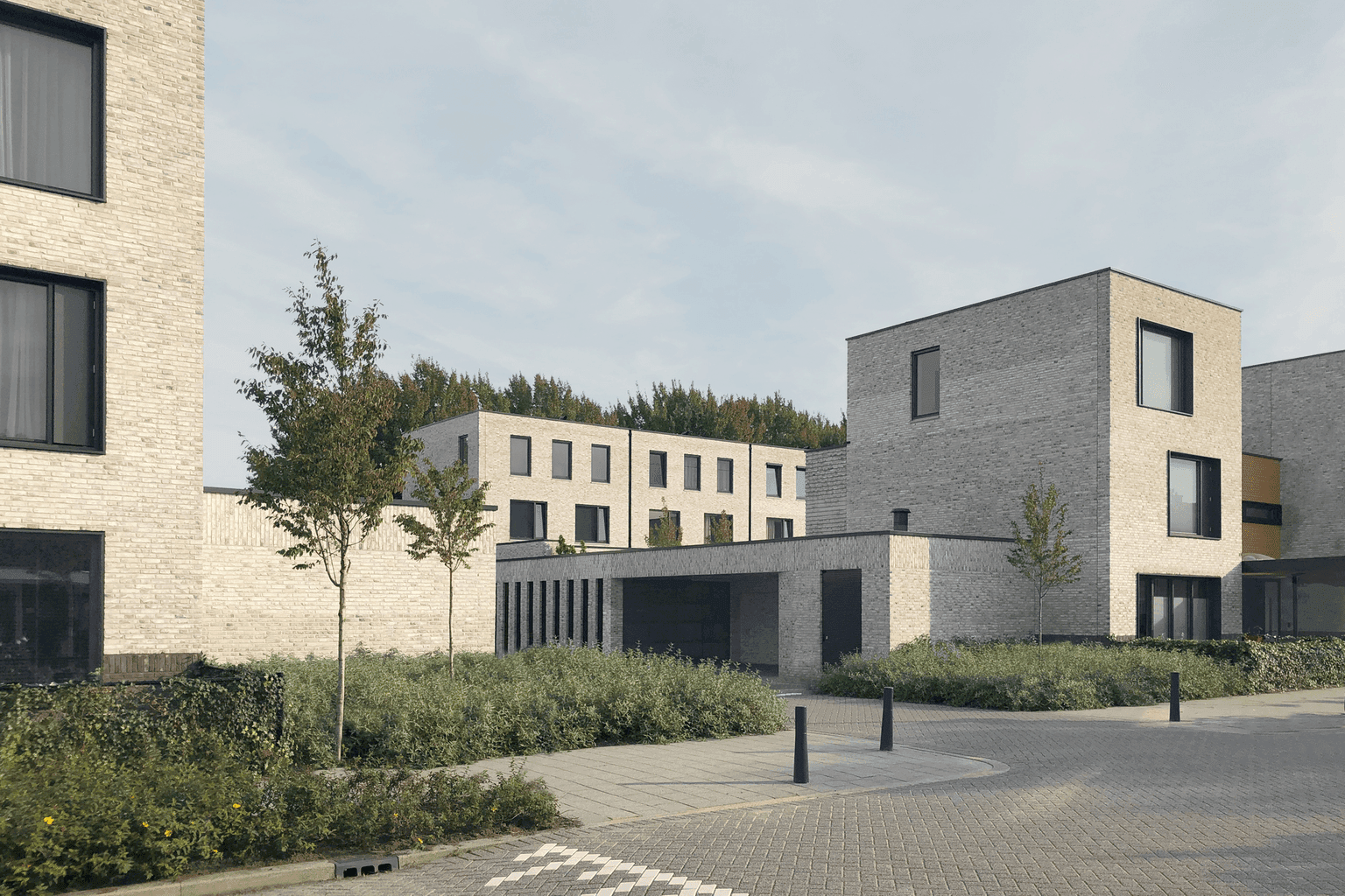 Nieuw Kralingen – Kop van de Laan - Image 2