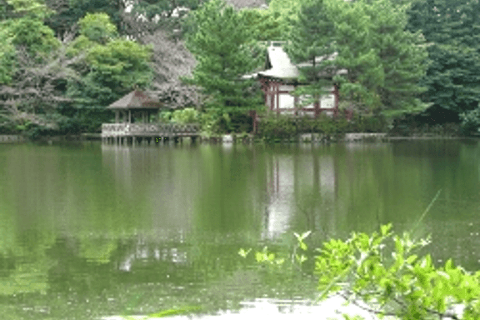 Pierce Shakujii Kōen - Image 3
