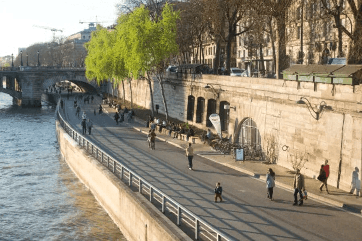 Rives de Seine