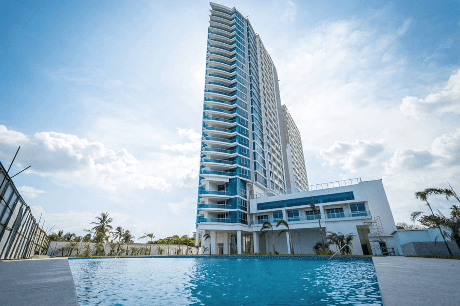 Royal Palm - Image 2
