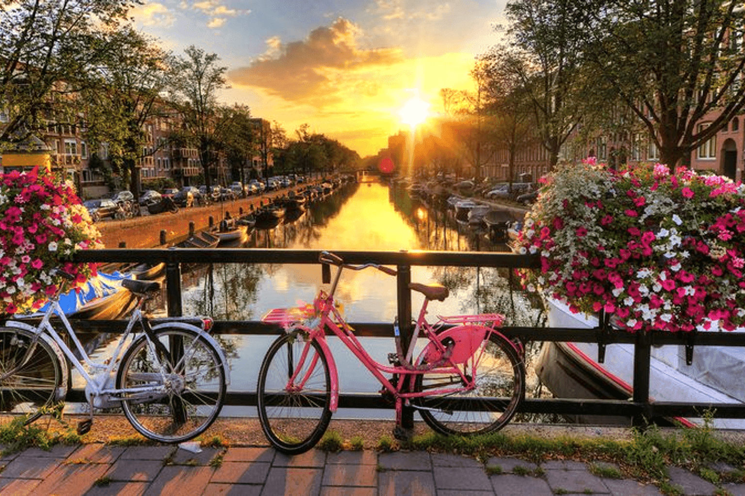 THIS. (Amsterdam) - Image 3
