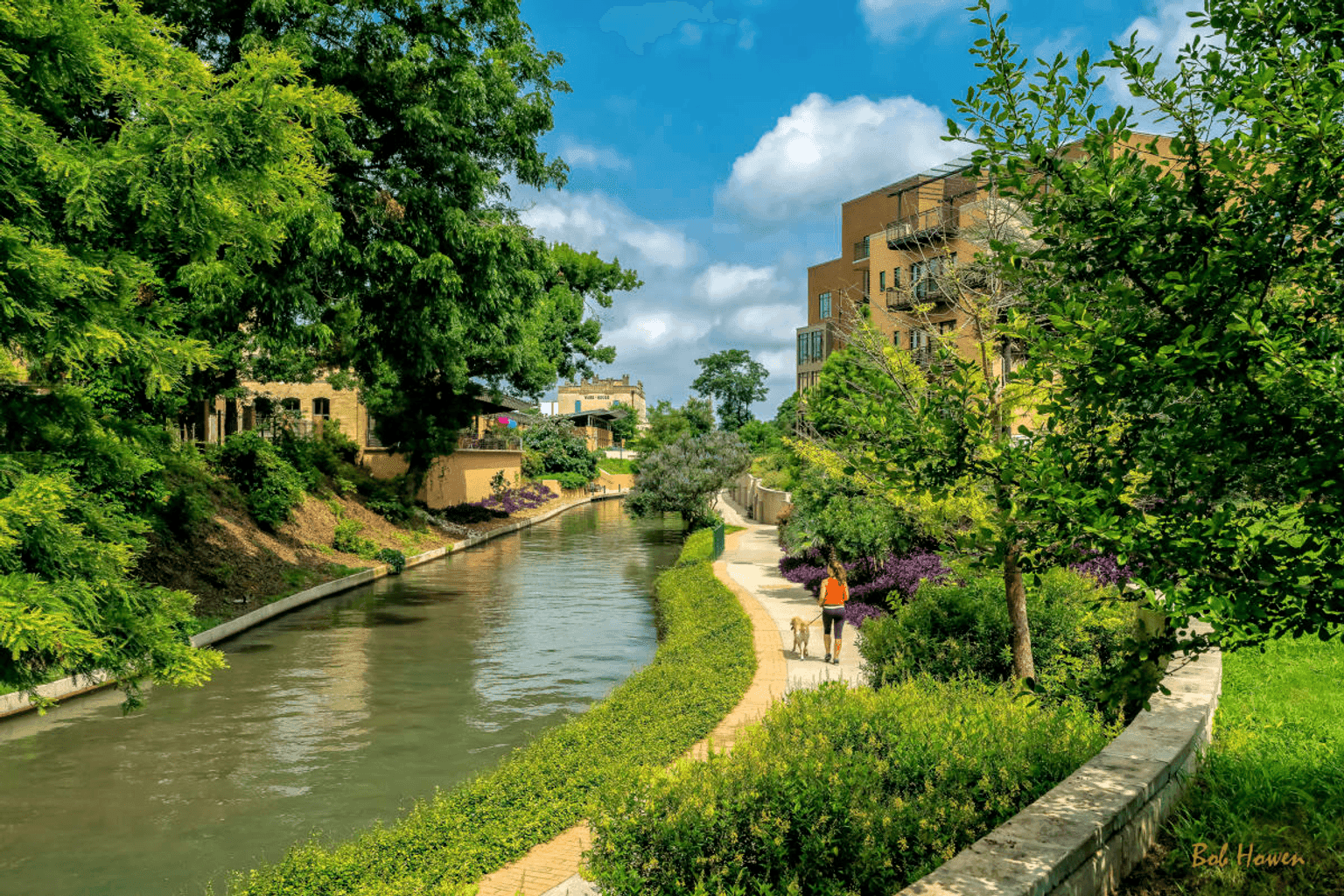 Tributary at The Museum Reach - Image 3