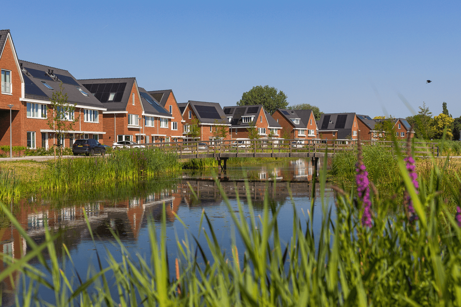 Tuinbuurt Vrijlandt