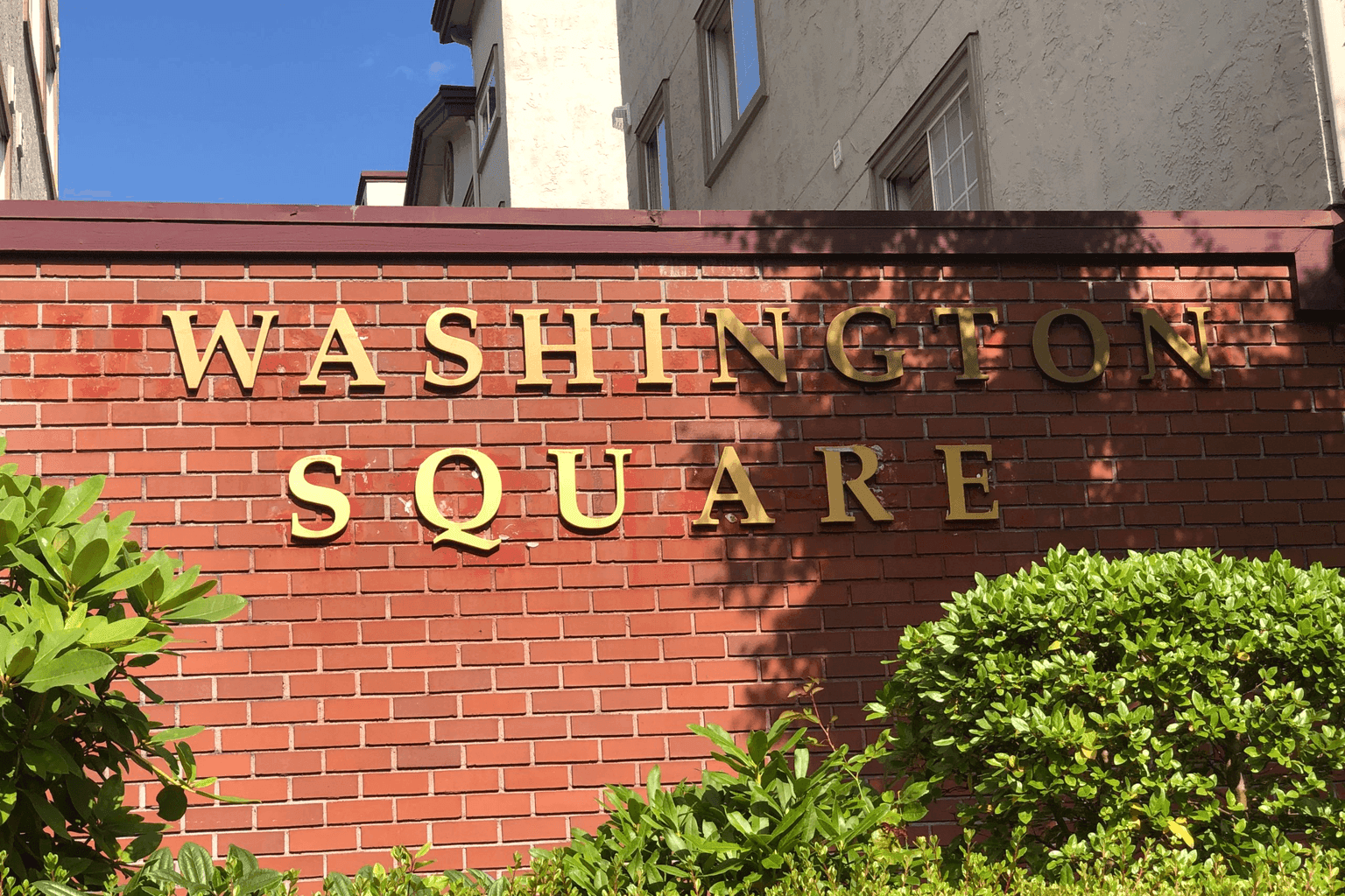 Washington Square