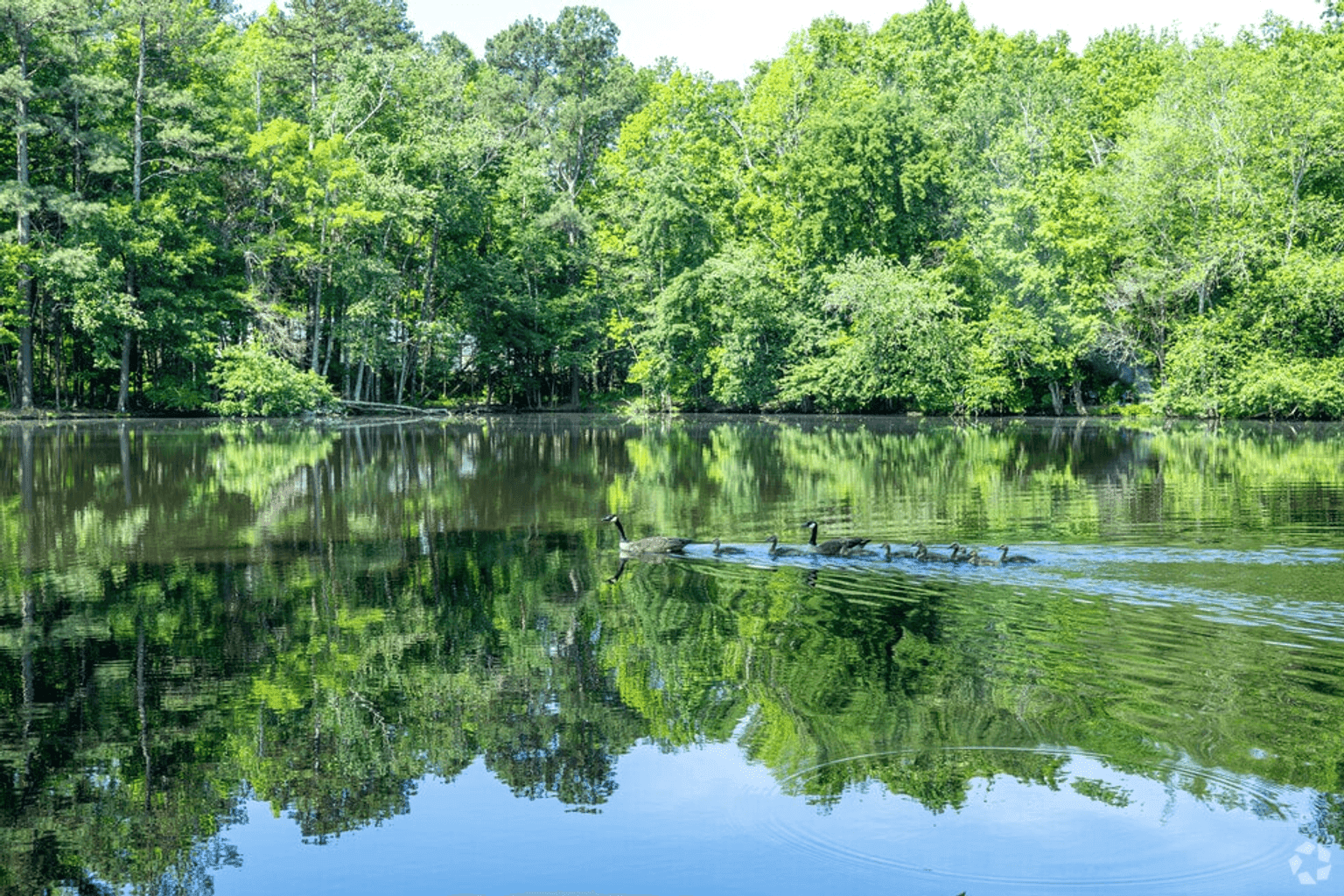 Wilora Lake