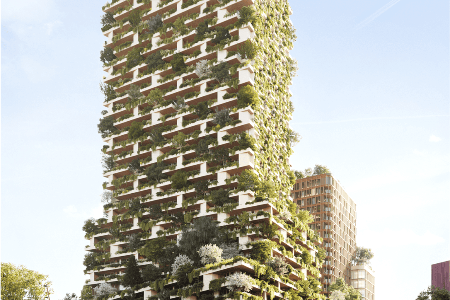 Wonderwoods (Beurskwartier) - Image 3